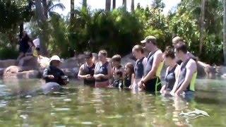 Discovery Cove Dolphin Swim