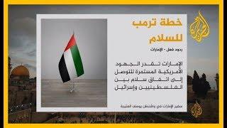 خطة #ترمب للسلام.. وردود فعل مصر والإمارات  