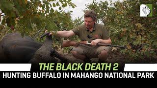 The Black Death 2 - Buffalo Hunting in Mahango National Park with Jofie Lamprecht