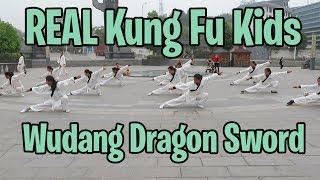 REAL Kung Fu Kids - Group Wudang Dragon Sword 龙化剑 - Cute dog dodges 12 swords!