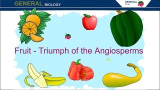 Fruit: Triumph of the Angiosperms #floweringplants