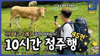 산티아고 순례길 몰아보기 정주행으로 10시간 순삭? 36일 휴먼다큐 까미노