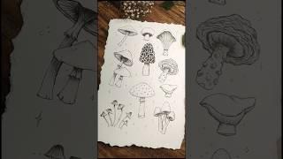 Draw with Me  Mushrooms  #artshorts #mushroomcore #cottagecore #shorts