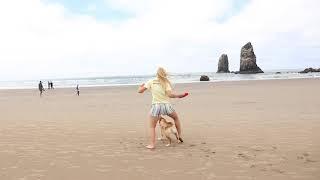 Having fun on Cannon Beach  English Shepherd dog tricks freestyle