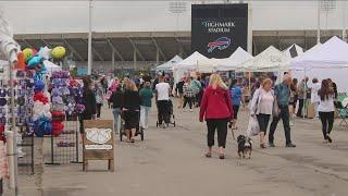 Sixty-first annual Orchard Park Festival of the Arts and Health underway