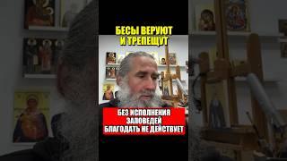 Бесы веруют и трепещут. Без исполнения заповедей благодать не действует.