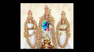 #ttd|#tirumala #tirupati  Sri srinivasa govinda