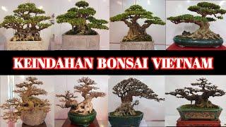 KEINDAHAN BONSAI VIETNAM YANG UNIK