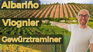 Albarino, Viognier, Gerwurztraminer: What You Need to Know for WSET L2 in Wines + 10 questions