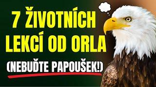 KDYŽ SE TO NAUČÍŠ OD ORLŮ, BUDEŠ MÍT V ŽIVOTĚ VŠECHNO | Moudrost, životní lekce 