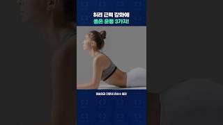 허리 근력 강화에 좋은 운동 3가지!