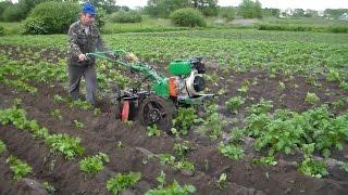 Дисковые окучники с регулировкой глубины. Вторая окучка