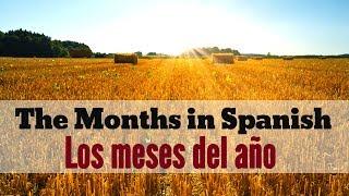 Months of the Year in Spanish - Los Meses del Año en Español