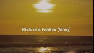 Birds of a Feather (Vibey) - Official Audio - Sunset Party