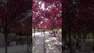 KRASNODARPARK
