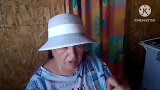 Мы родились в Сибири//на те же грабли//обзор канала