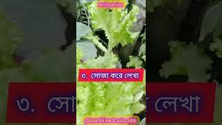 হাতের লেখা সুন্দর করার সাতটি উপায়