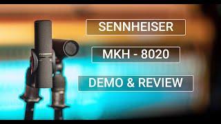 Sennheiser MKH 8020 Demo & Review