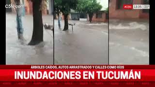 INUNDACIONES EN TUCUMÁN: ÁRBOLES CAÍDOS, AUTOS ARRASTRADOS Y CALLES ANEGADAS