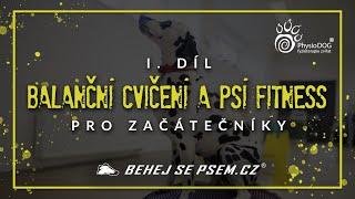 Balanční cvičení a psí fitness pro začátečníky | 1. díl