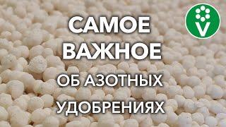 КАКИЕ АЗОТНЫЕ УДОБРЕНИЯ ВНОСИТЬ ВЕСНОЙ, А КАКИЕ ТОЛЬКО ЛЕТОМ? Виды удобрений, правила внесения