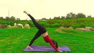 KARMA yoga by lee kaplan  Basic yoga lesson 1