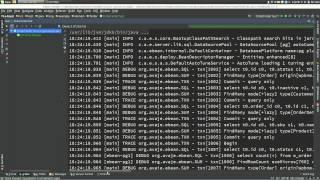 Ebean ORM Automatic query tuning