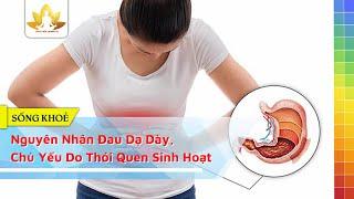 Nguyên Nhân Đau Dạ Dày, Chủ Yếu Do Thói Quen Sinh Hoạt Hàng Ngày Của Bạn