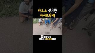 옛날 선비들이 피던 것 같은 파이프담배#여행유튜버 #세계여행 #라오스여행 #담배 #여행 #여행브이로그
