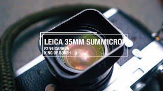 The King Of Bokeh? - Leica Summicron V4 (+Sample Photos)