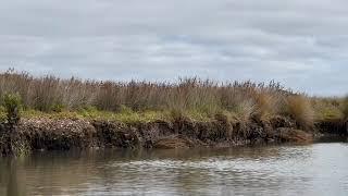 Kayak with Cr Gilligan 3