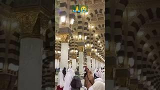 Sahara chahye SARKAAR #naat #ramadan