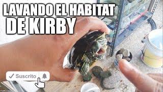 lavando el habitat de kirby