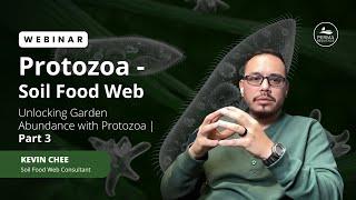 Unlocking Garden Abundance with Potozoa | Part 3 with Kevin Chee