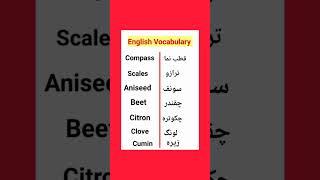 Learn English vocabulary #vocabs #learnenglish #vocabularywords #englishvocabulary  #fyp