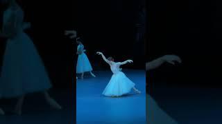 Мирта заставляет Жизель танцевать #bolshoitheatre #giselle Евгения Образцоаа #ballet #ballerina