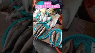 삼척번개시장  새벽시장답게 생선이 너무 싱싱하고 저렴~