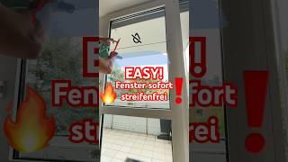 Fenster putzen für Anfänger: Tipps vom Profi