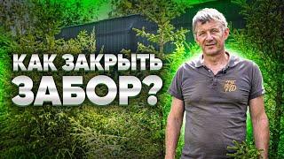 КАК ЗАКРЫТЬ ЗАБОР НА УЧАСТКЕ? Делаем красивый забор на участке. Декорируем забор.