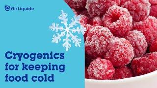 Food chilling and freezing: the advantages of cryogenics