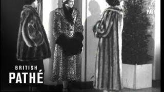Fur Fashions And Ingrid Bergman (1948)