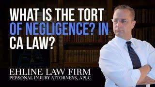 What is the Tort Litigation System?