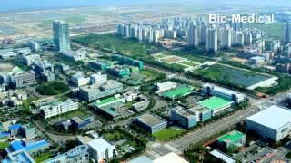 Incheon Free Economic Zone, Northeast Asia Economic Centralization