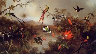 Художник Martin Johnson Heade. Натюрморты и… колибри