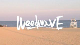 WEEDWAVE MIX