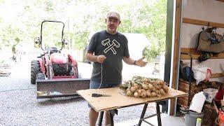 TNT #250:   ONIONS - Homestead Harvesting, Curing & Storing Tips