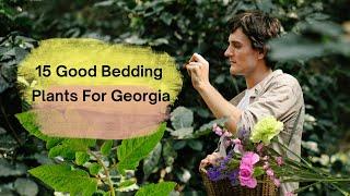 15 Good Bedding Plants For Georgia