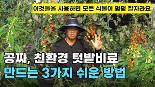 122.재료비 0원으로 최고급 친환경 텃밭 비료를 만드는 3가지 쉬운 방법입니다