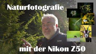 Naturfotografie - Unterwegs mit der Nikon Z50 und dem 50-250mm & dem Makro 50mm f2.8 Z-Mount Linsen