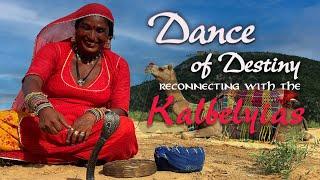 DANCE OF DESTINY: RECONNECTING WITH THE KALBELYIAS #camelfair  #kalbelyias